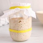 Showing is a sourdough starter that has doubled in size.