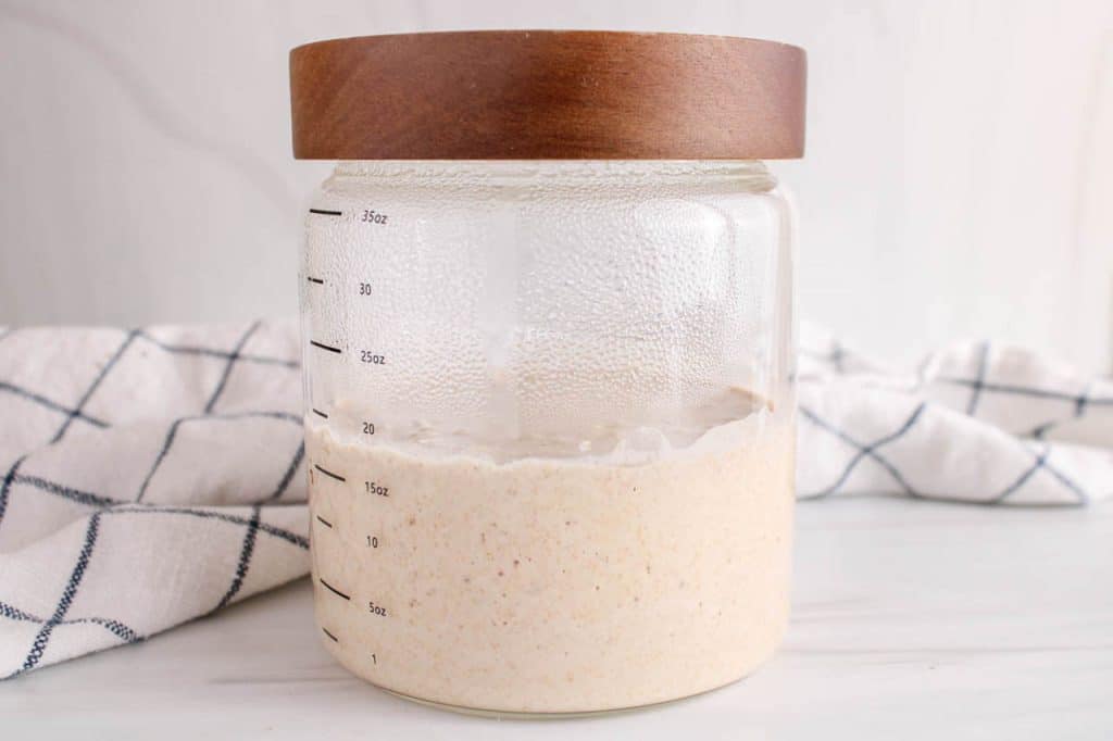 View on a large jar of sourdough discard.