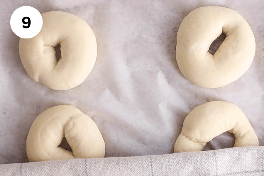 A baking sheet with raw dough into the shape of bagels.