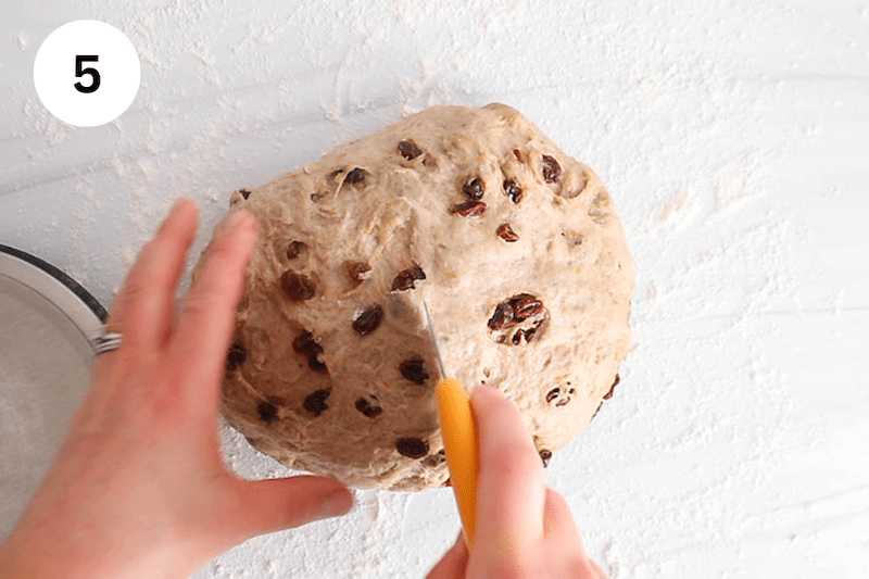 A dough cutter that's cutting a large ball of dough that's filled with raisins.