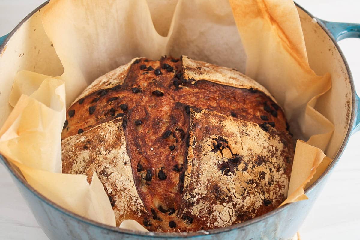 Chocolate chip sourdough bread in a Dutch oven.